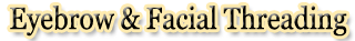 salonpanache eyebrowthreading